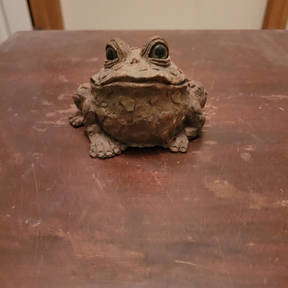Cute Toad 😍 Brown